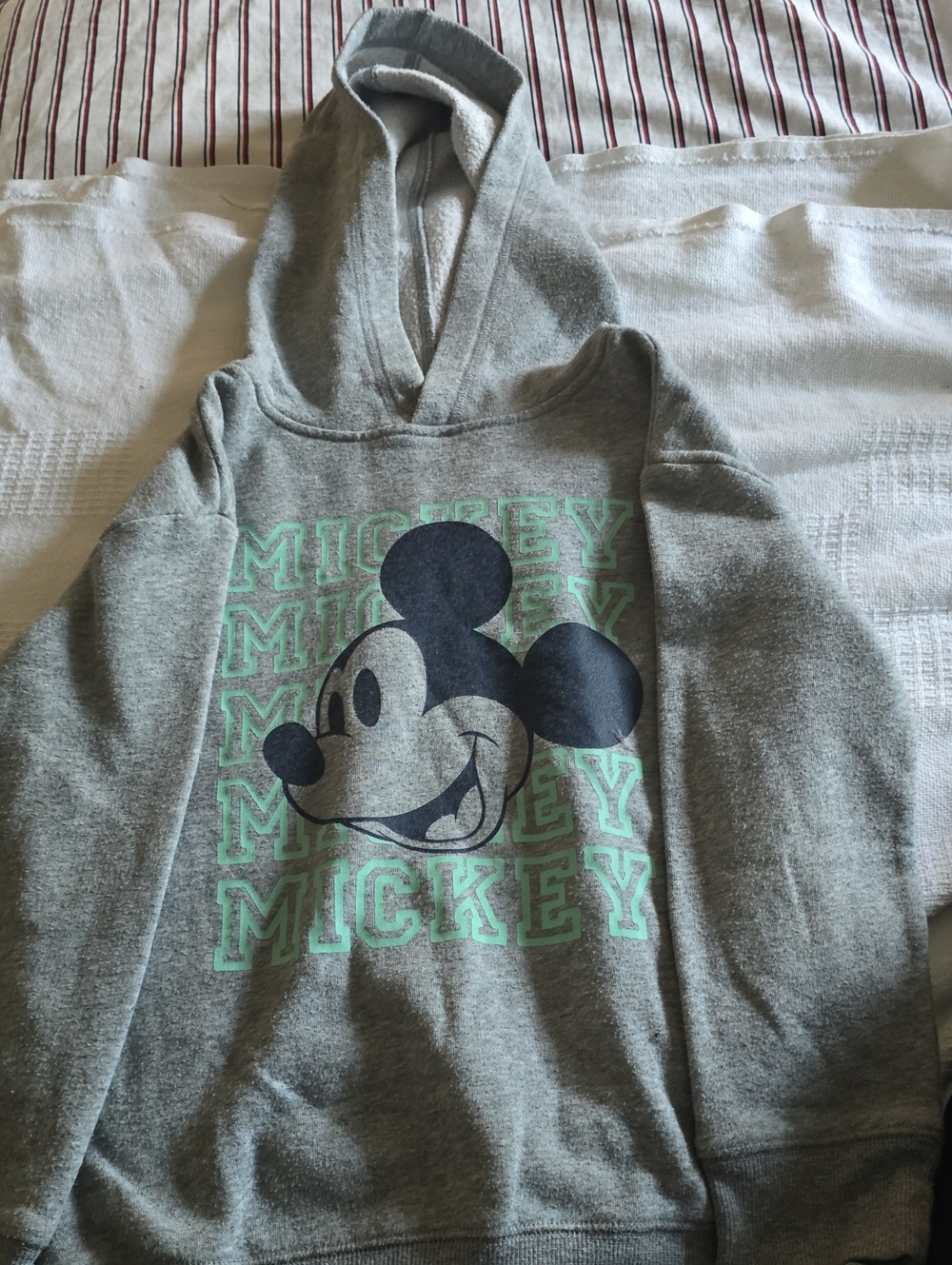 Kids Gray Mickey Mouse Pullover Hoodie with Mint Text